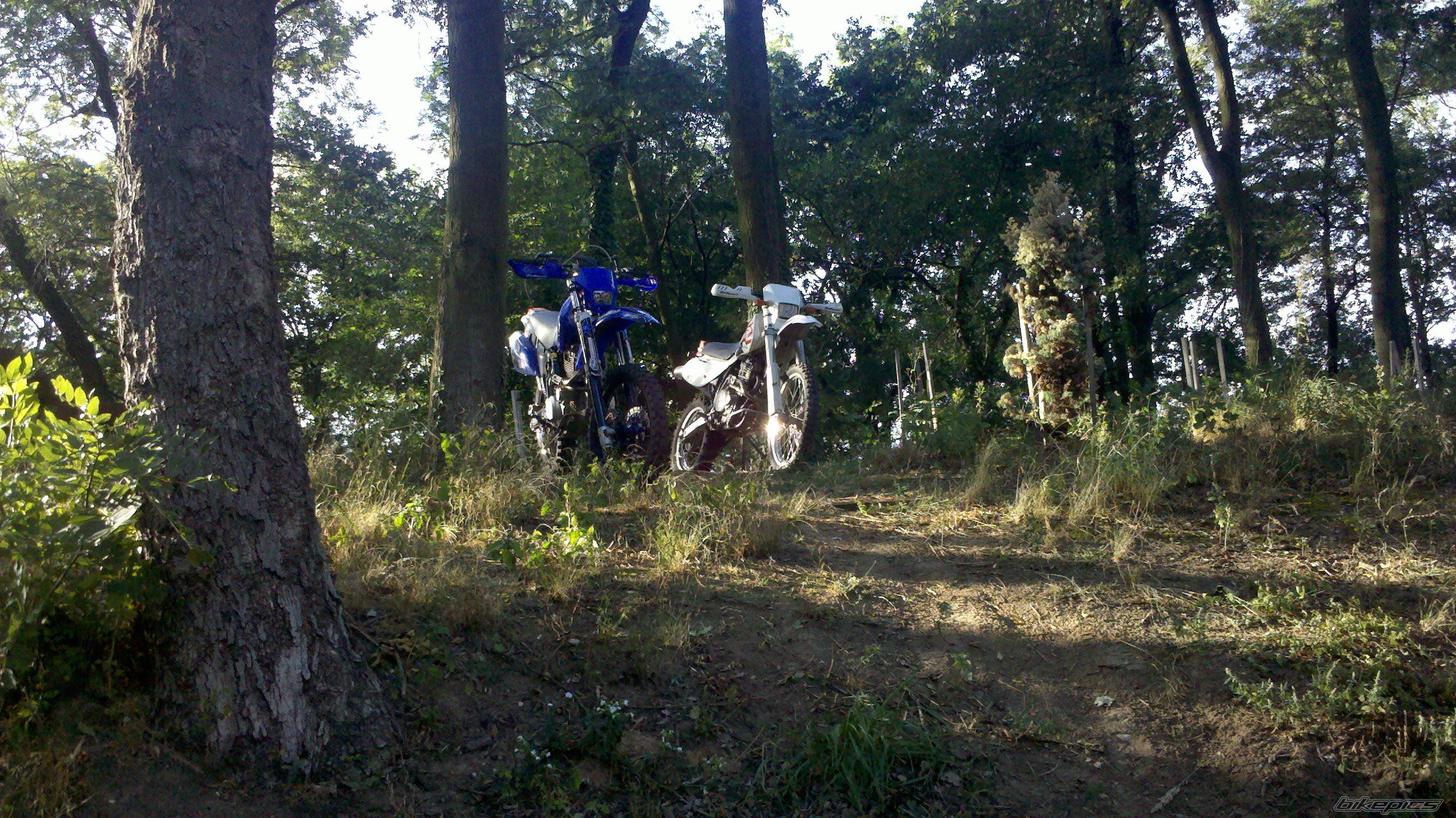 Photo 2593956