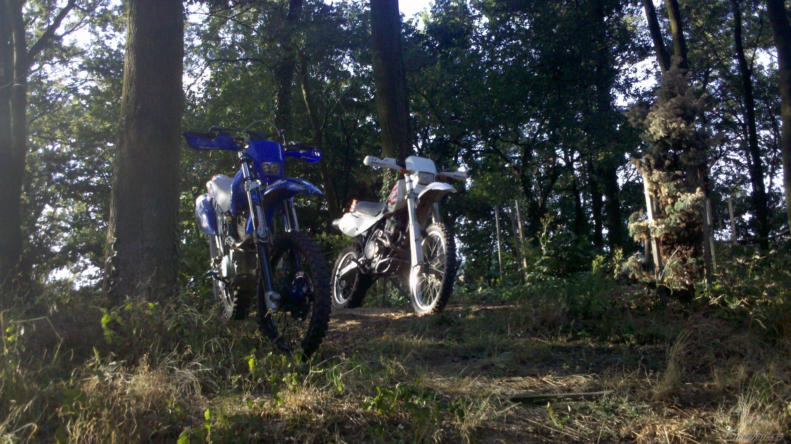 Photo 2593957