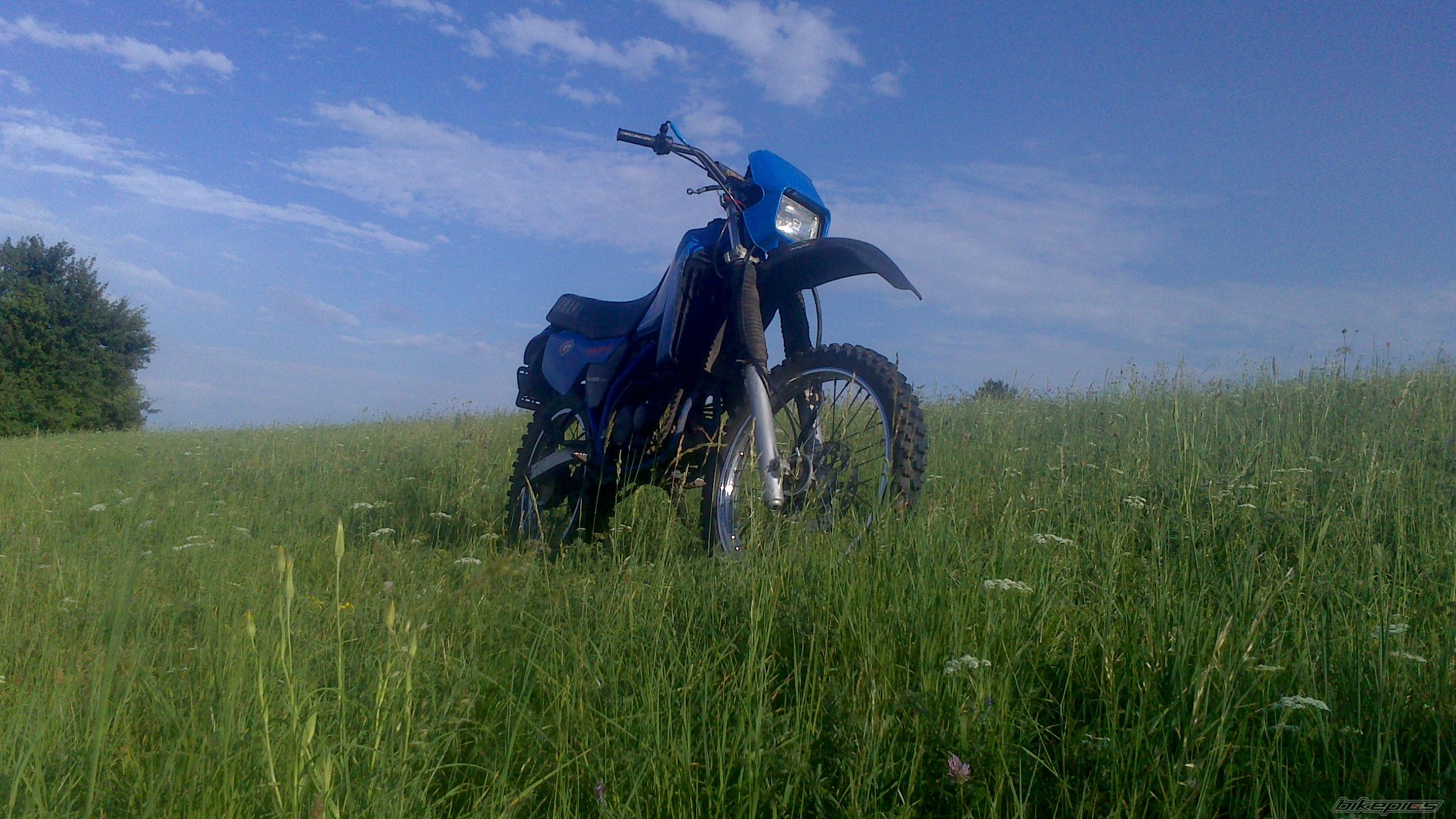 Photo 2594011