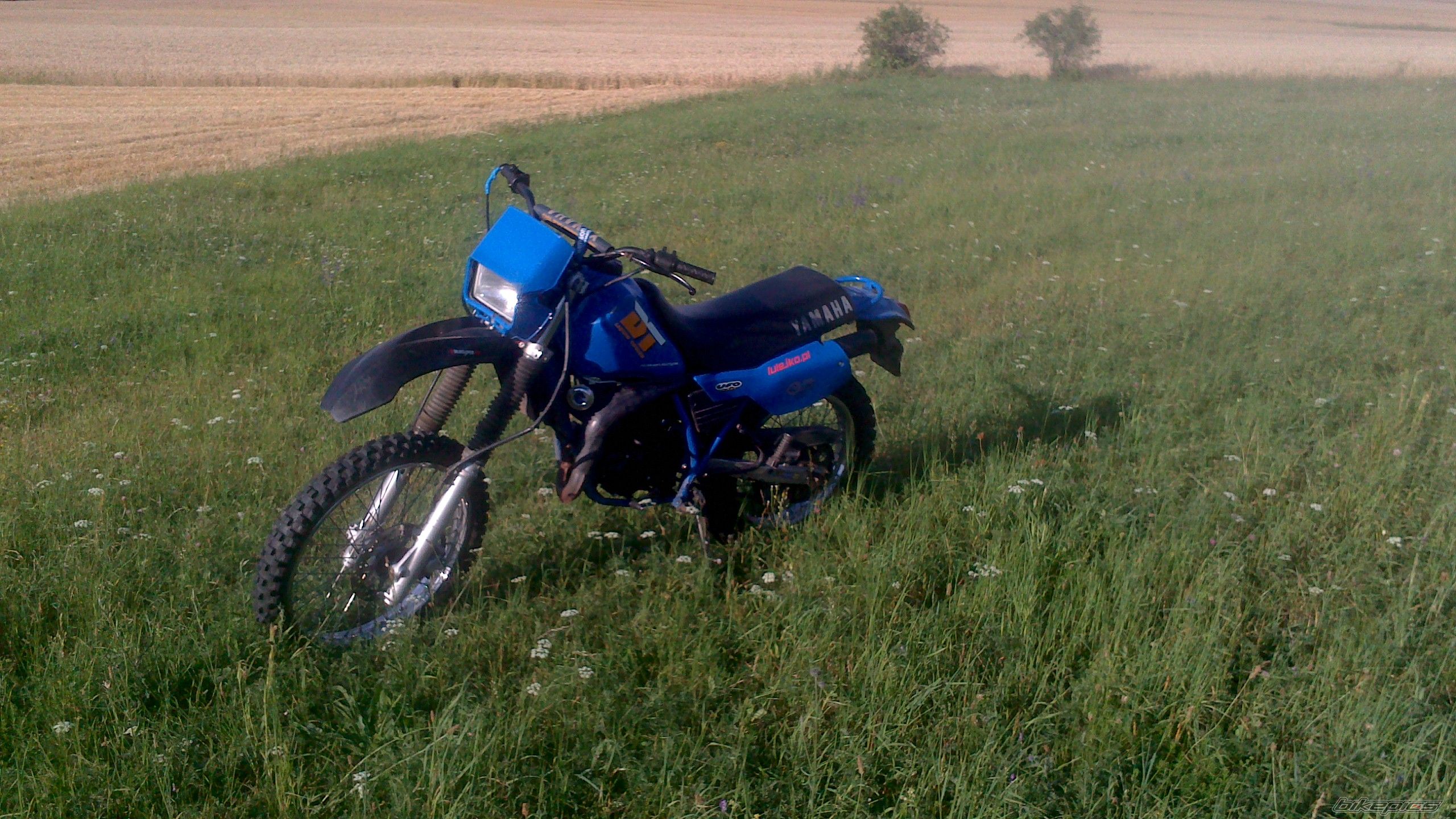 Photo 2594013