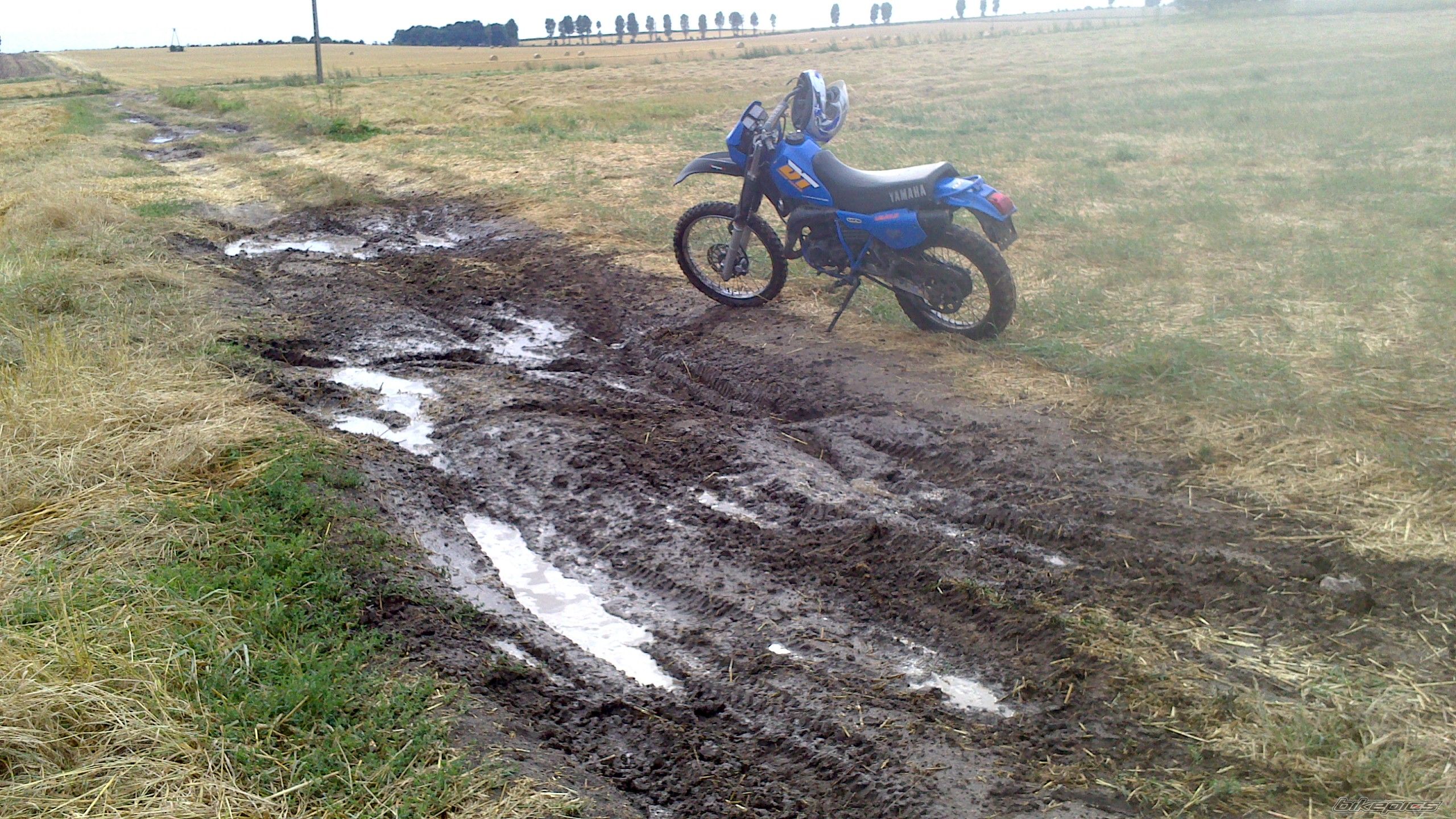 Photo 2594014