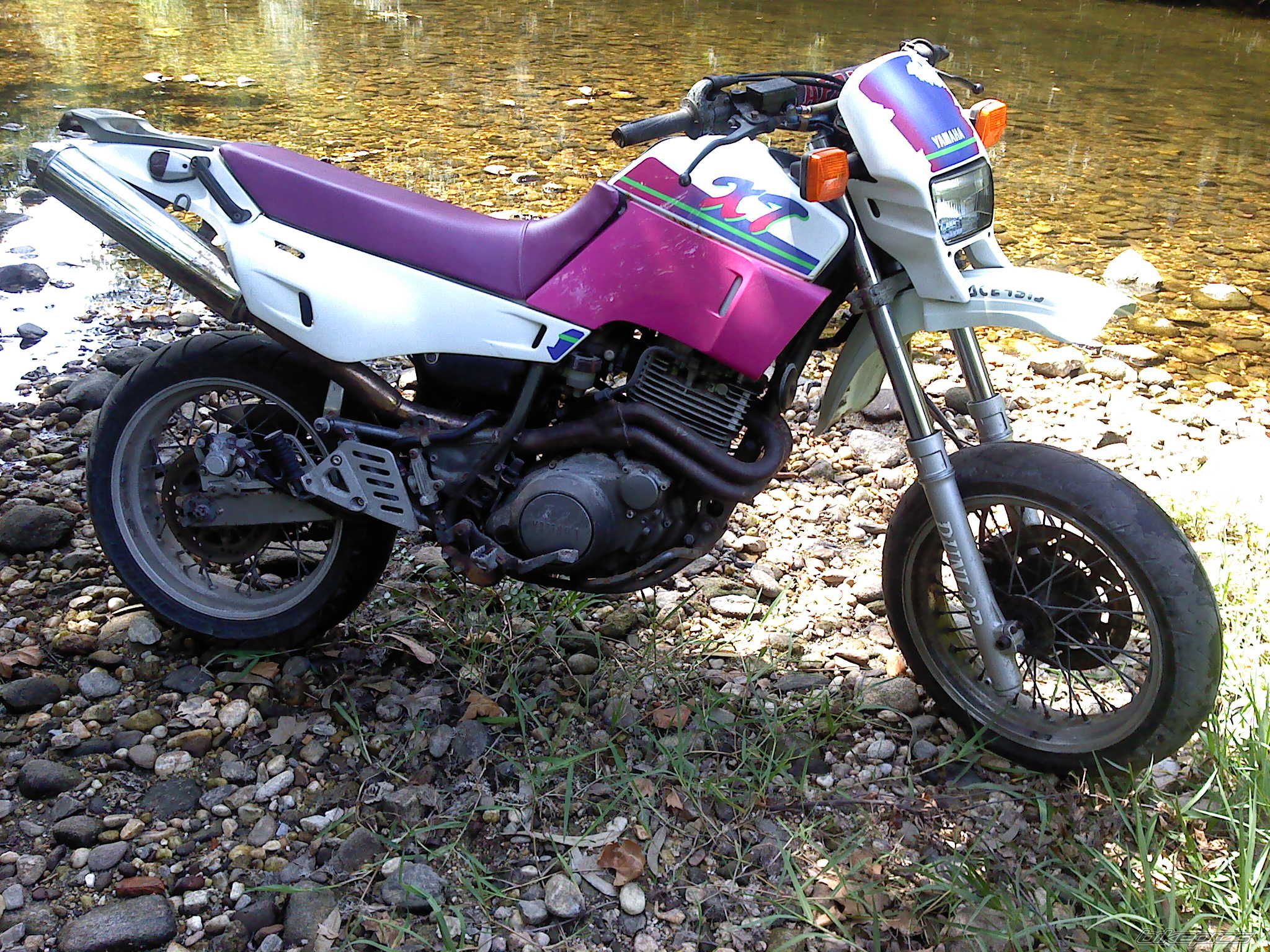 Photo 2594029