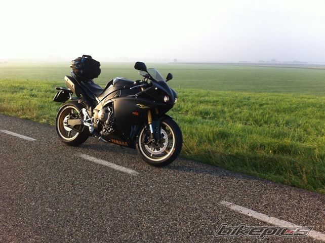 Photo 2594055