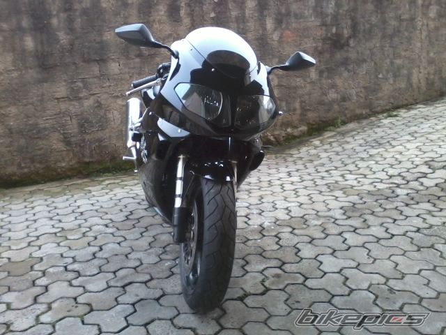 Photo 2594076