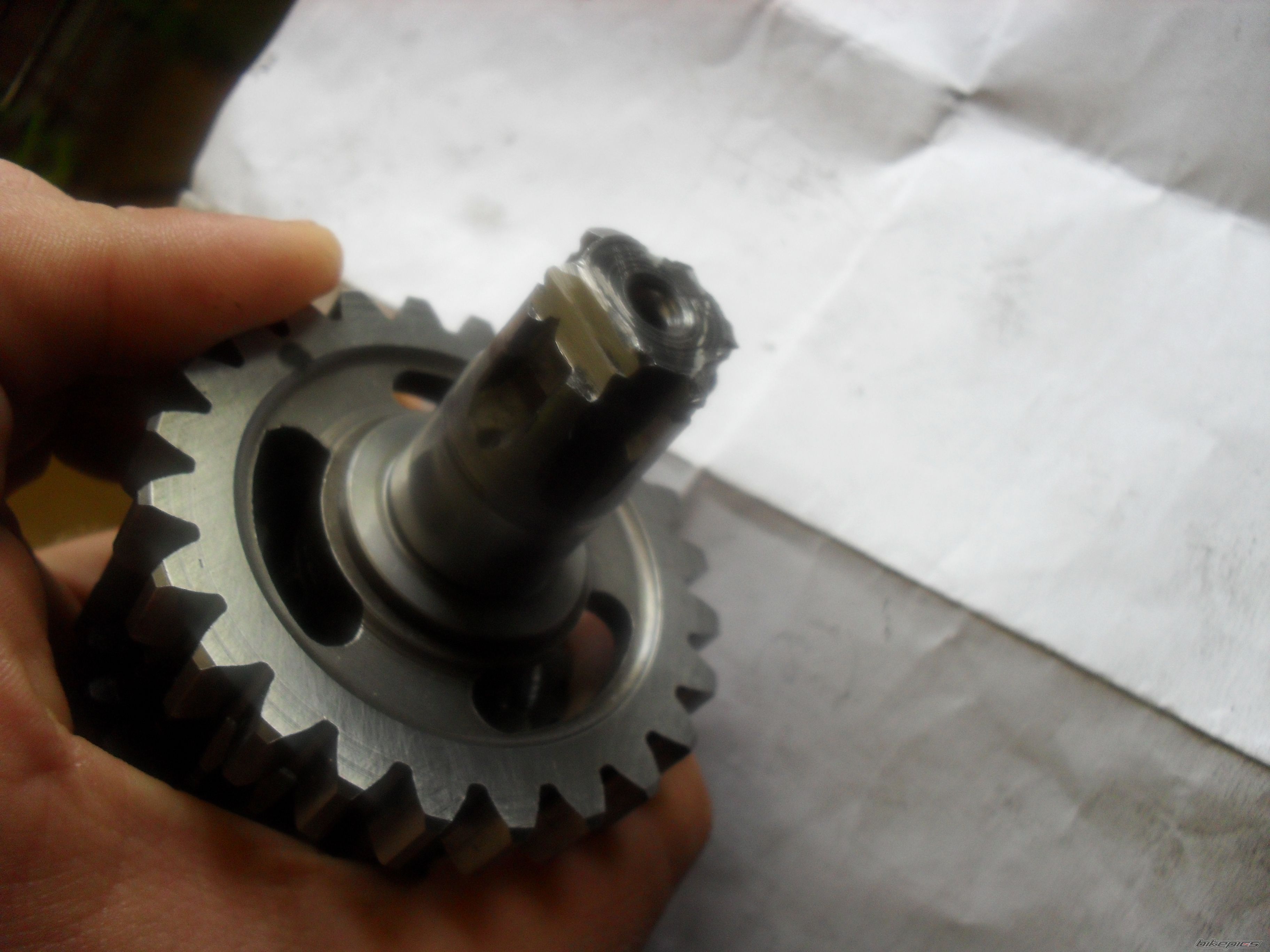 Photo 2594182
