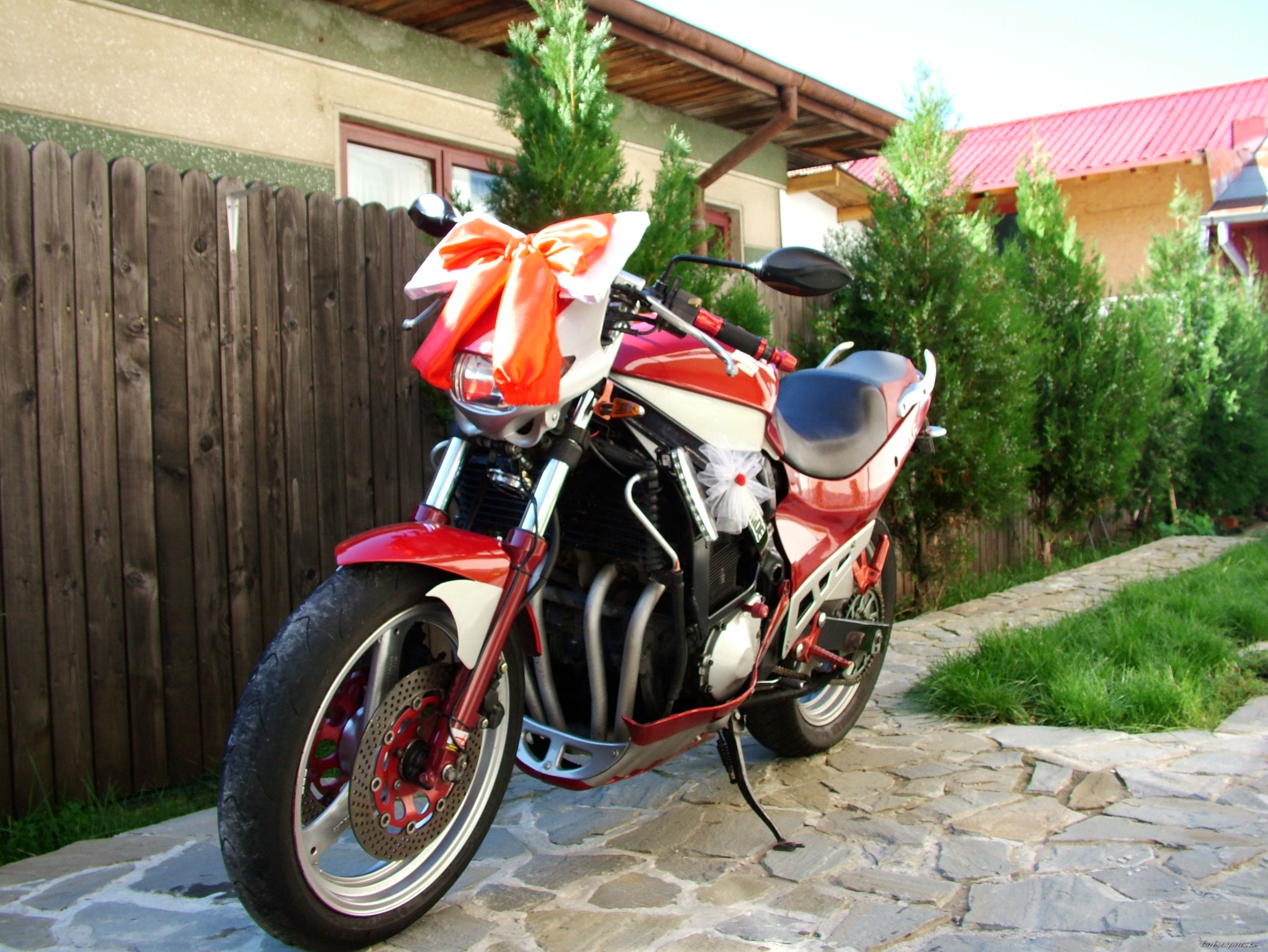 Photo 2594193