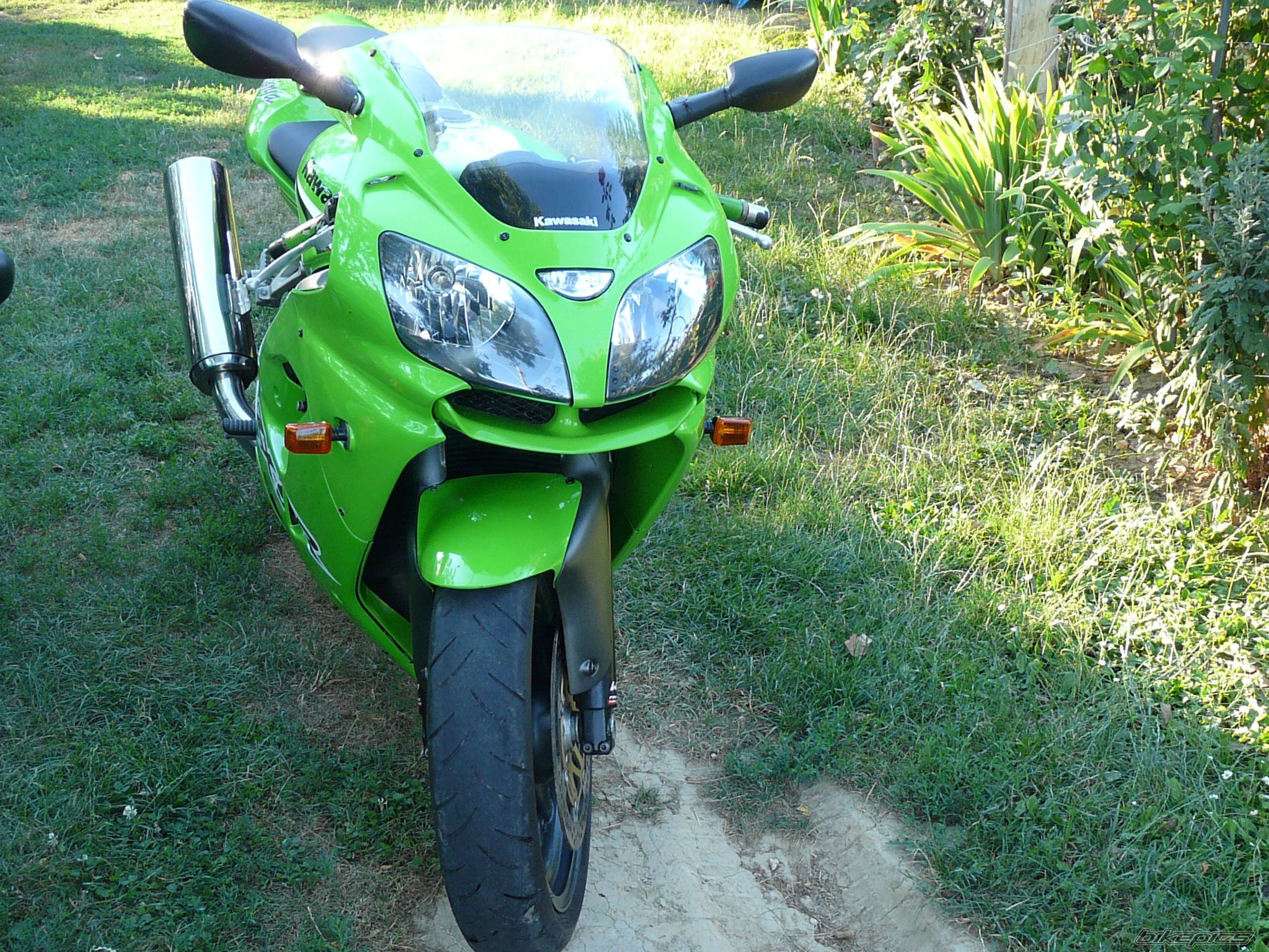 Photo 2594203