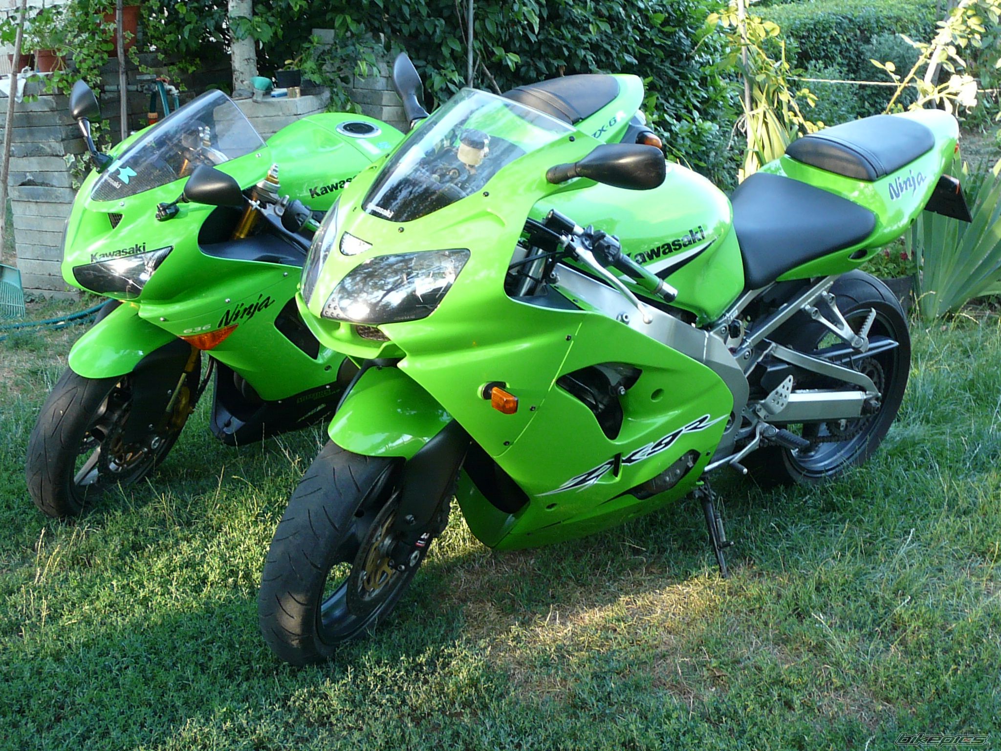 Photo 2594207