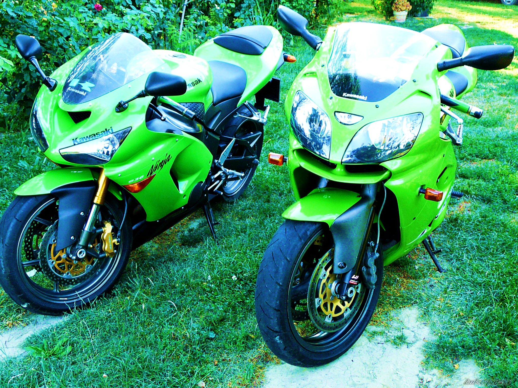 Photo 2594209