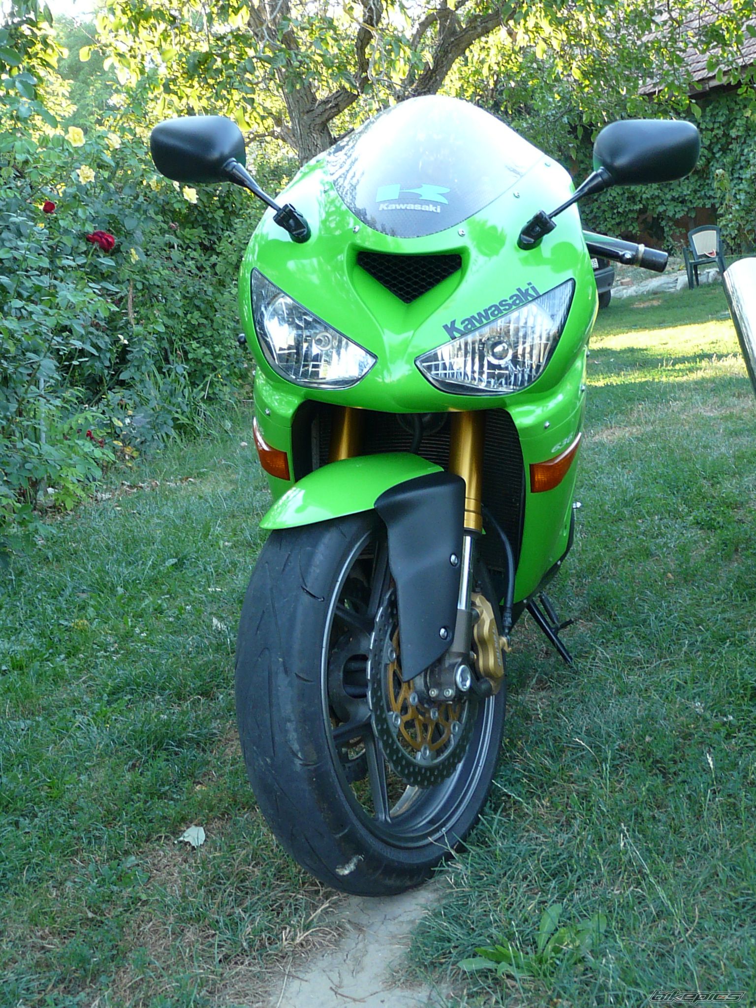 Photo 2594212