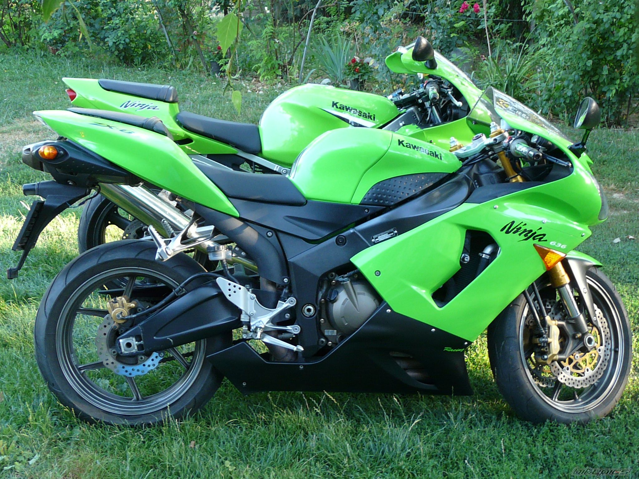 Photo 2594213