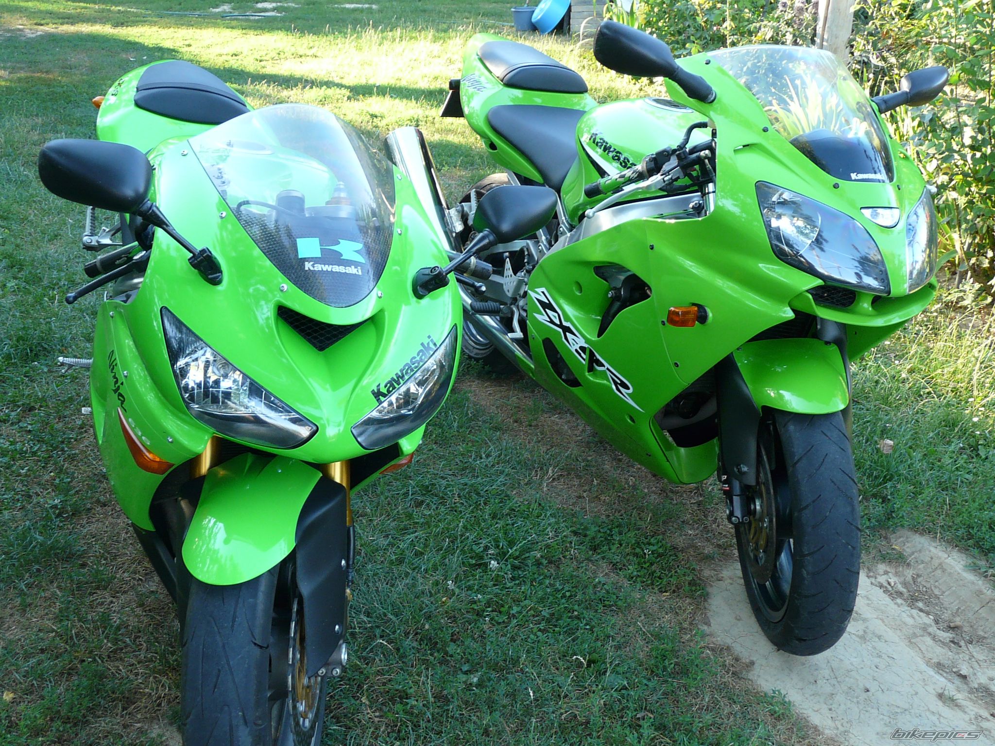 Photo 2594214