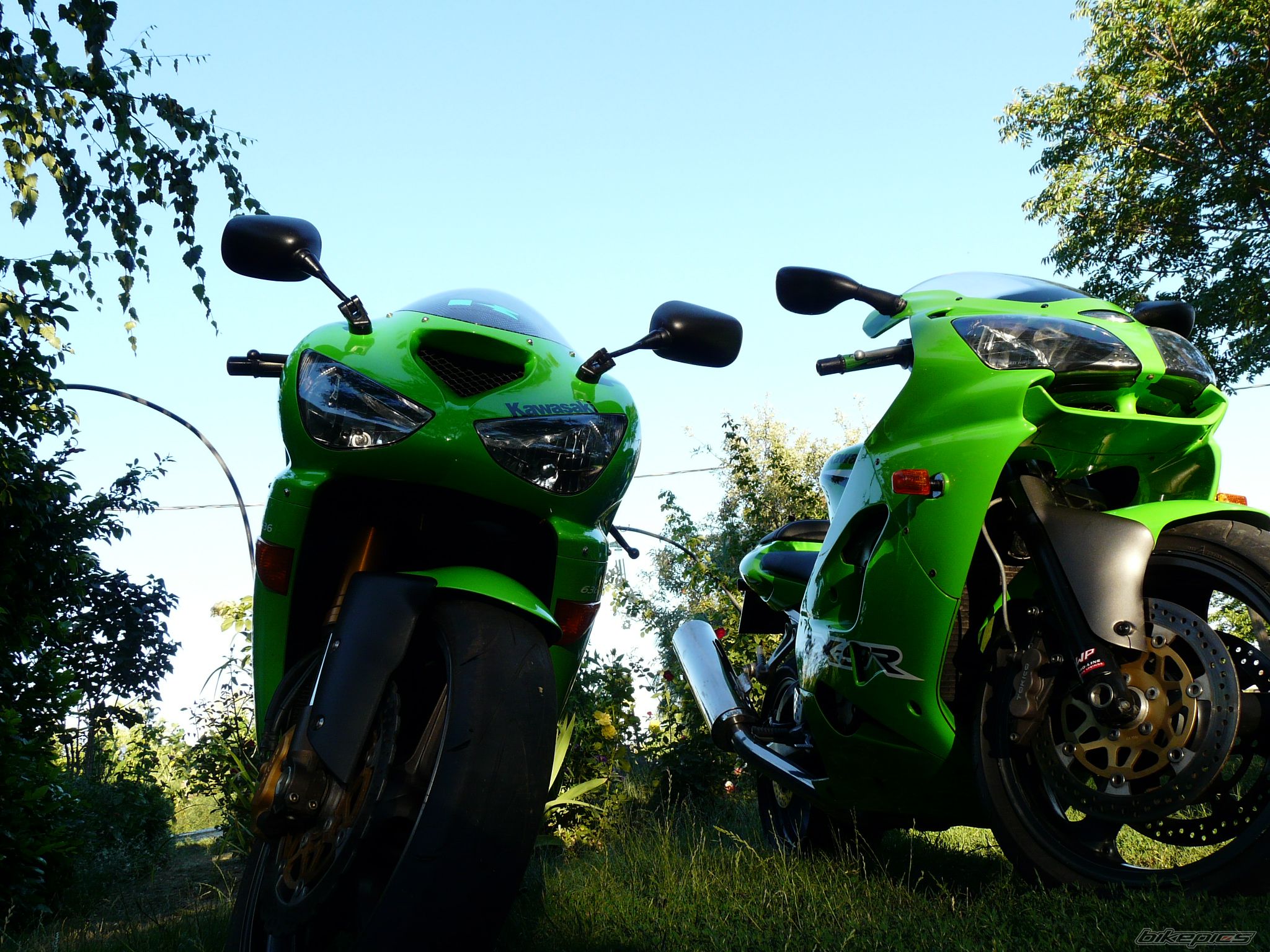 Photo 2594215