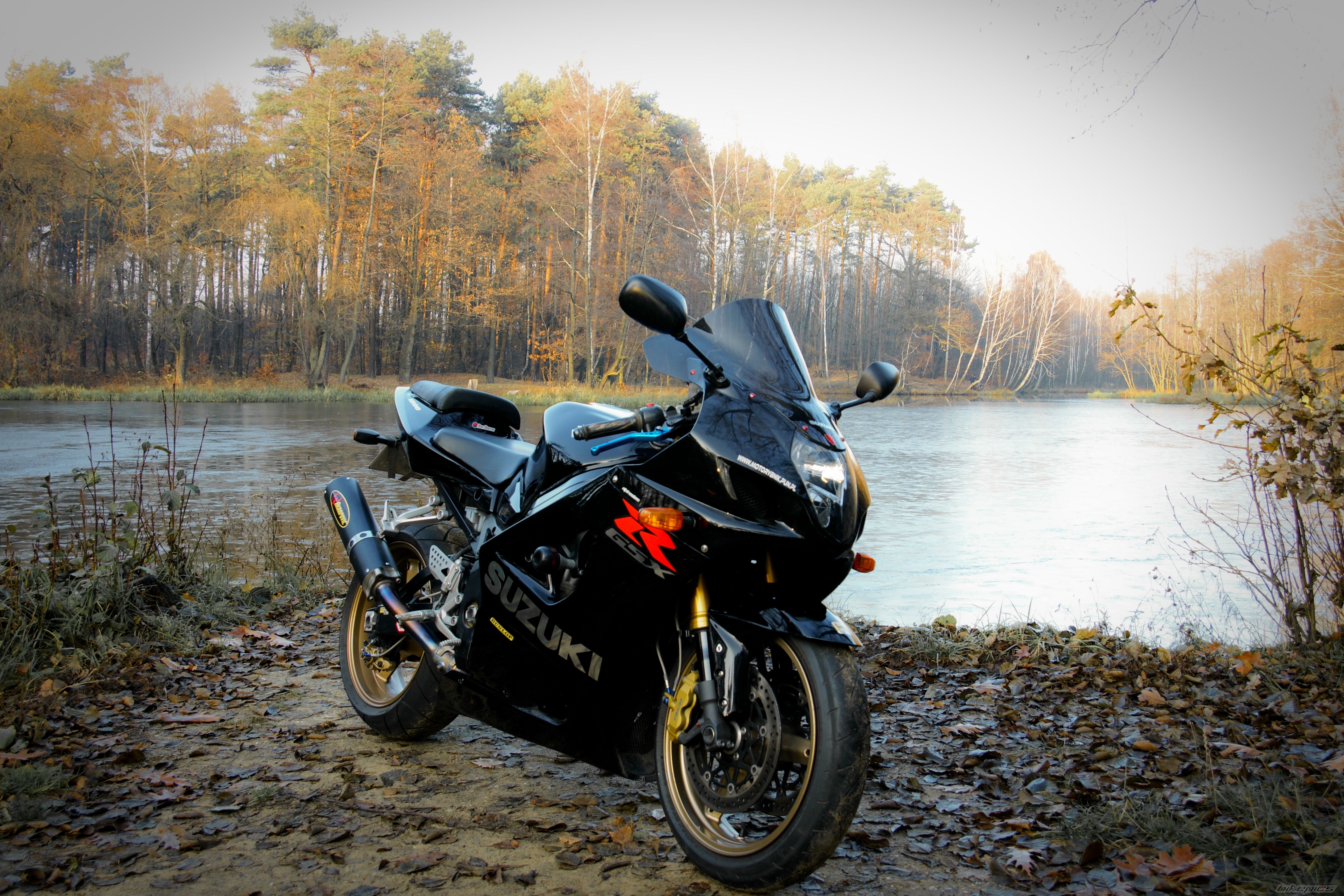Photo 2594220