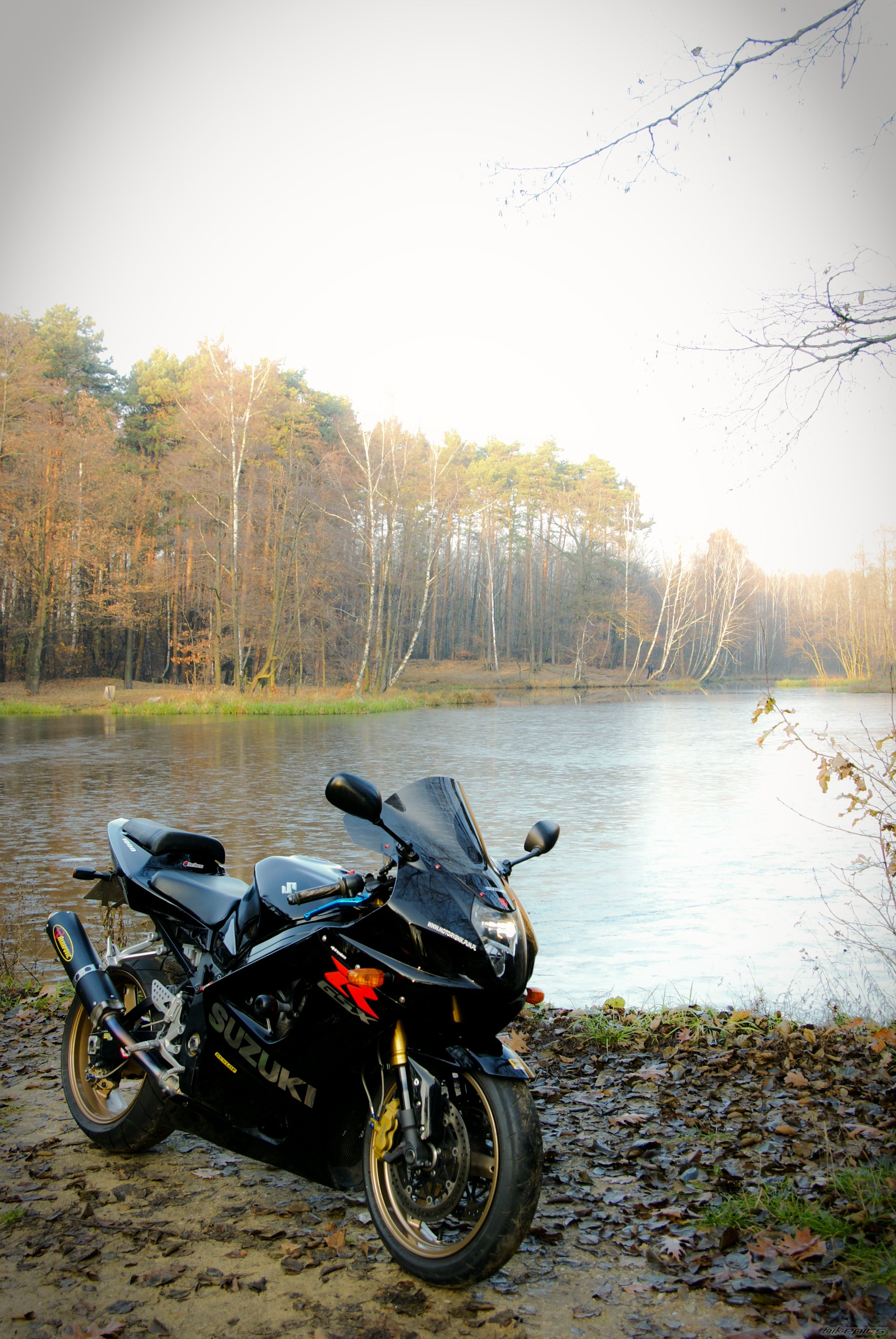 Photo 2594224