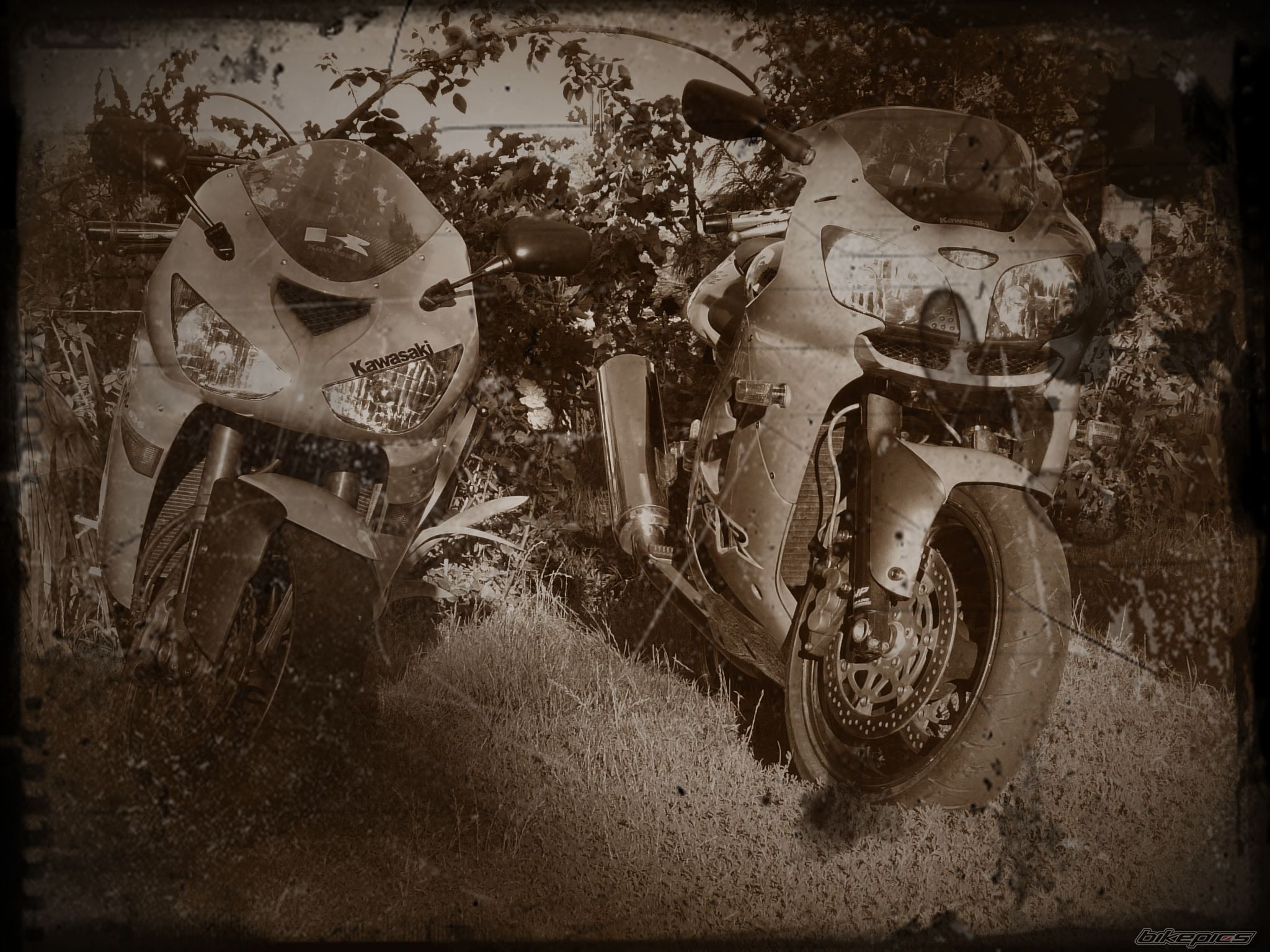 Photo 2594231