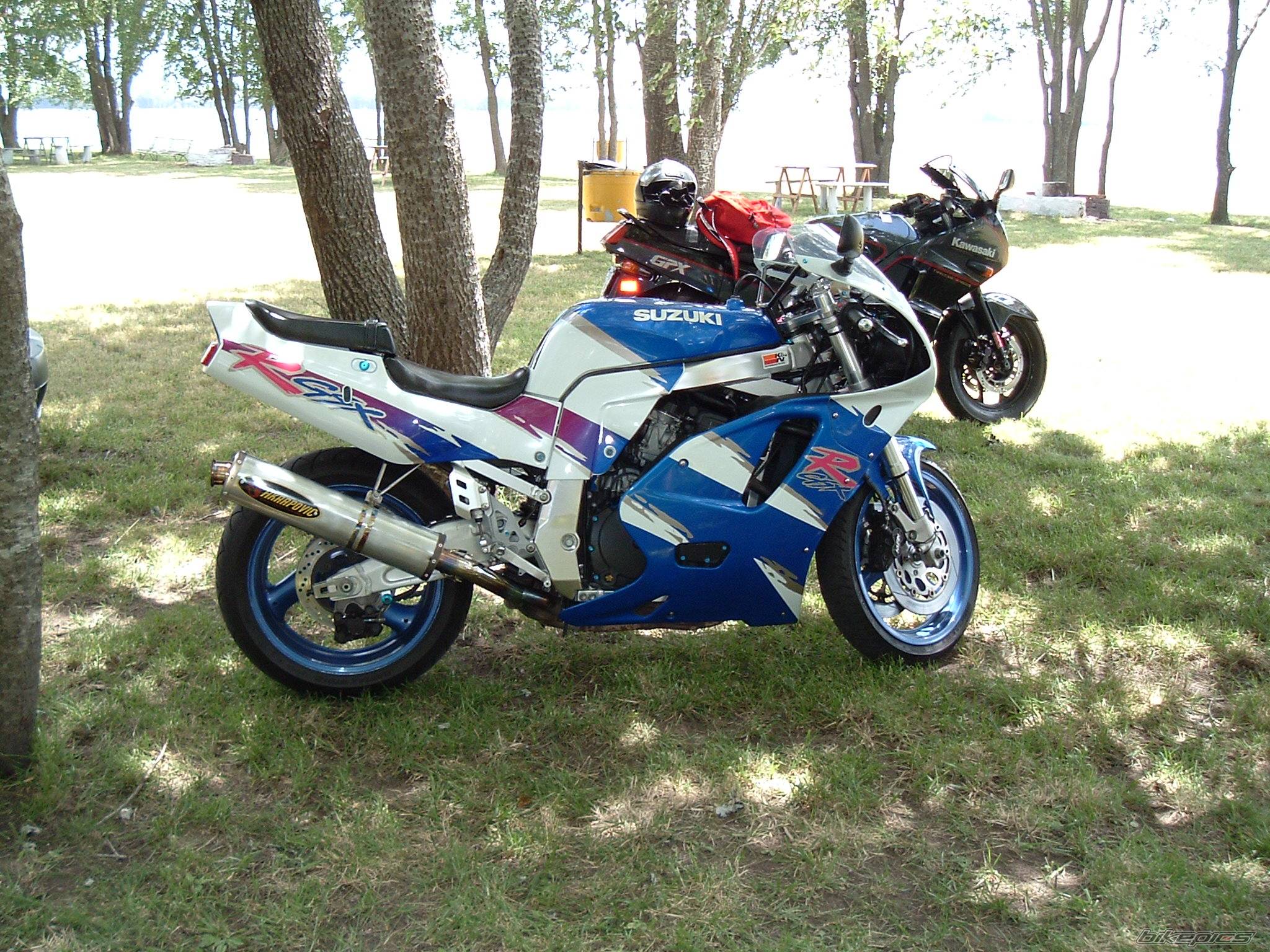 Photo 259425