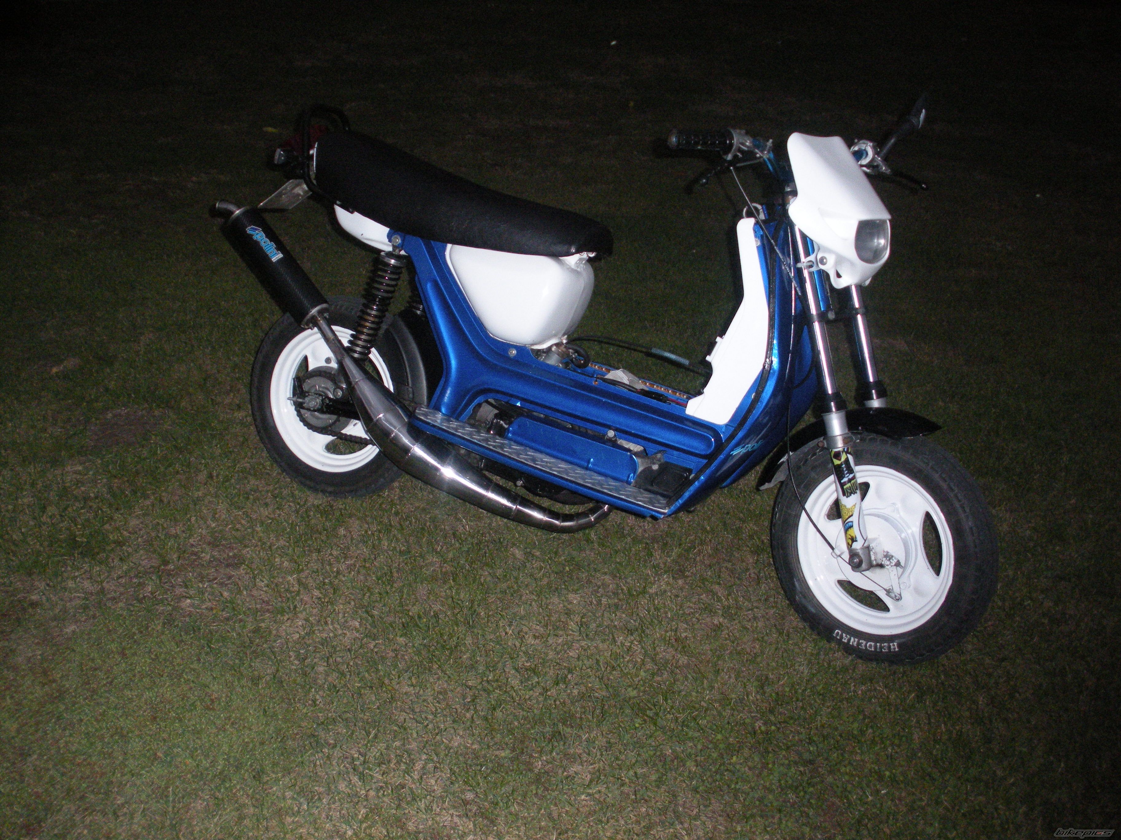Photo 2594319