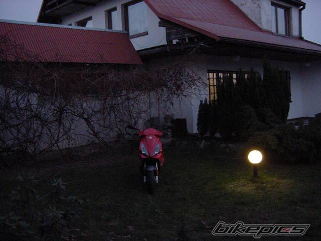 Photo 259433