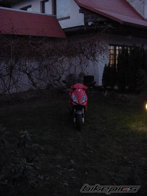 Photo 259435