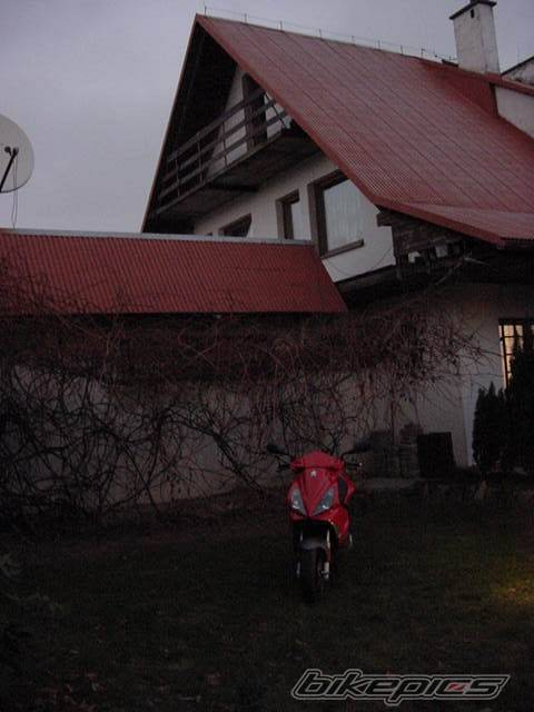 Photo 259436