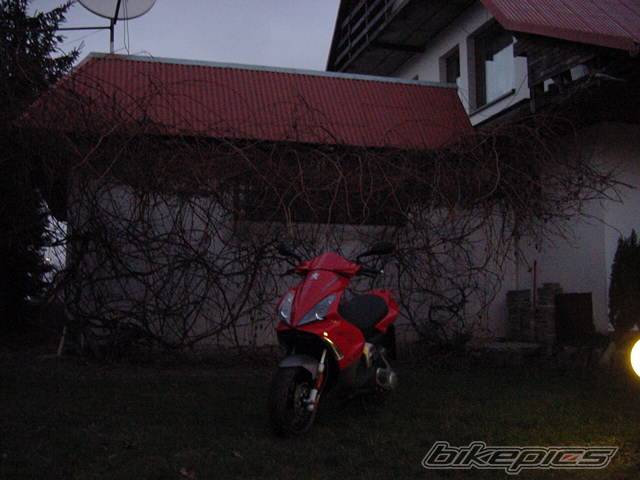 Photo 259437