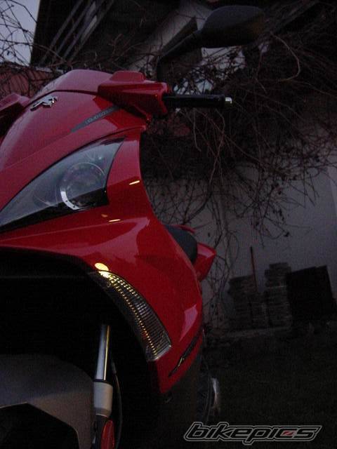 Photo 259438