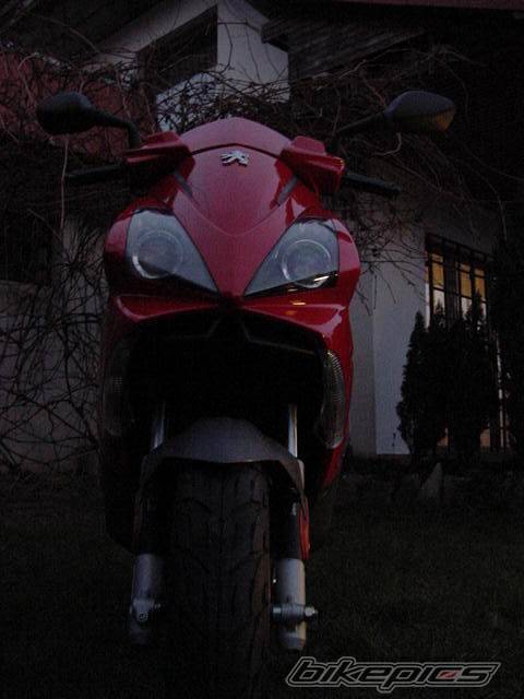 Photo 259439