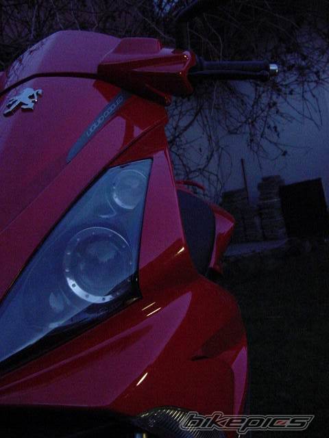 Photo 259440