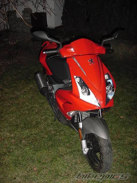 Photo 259441