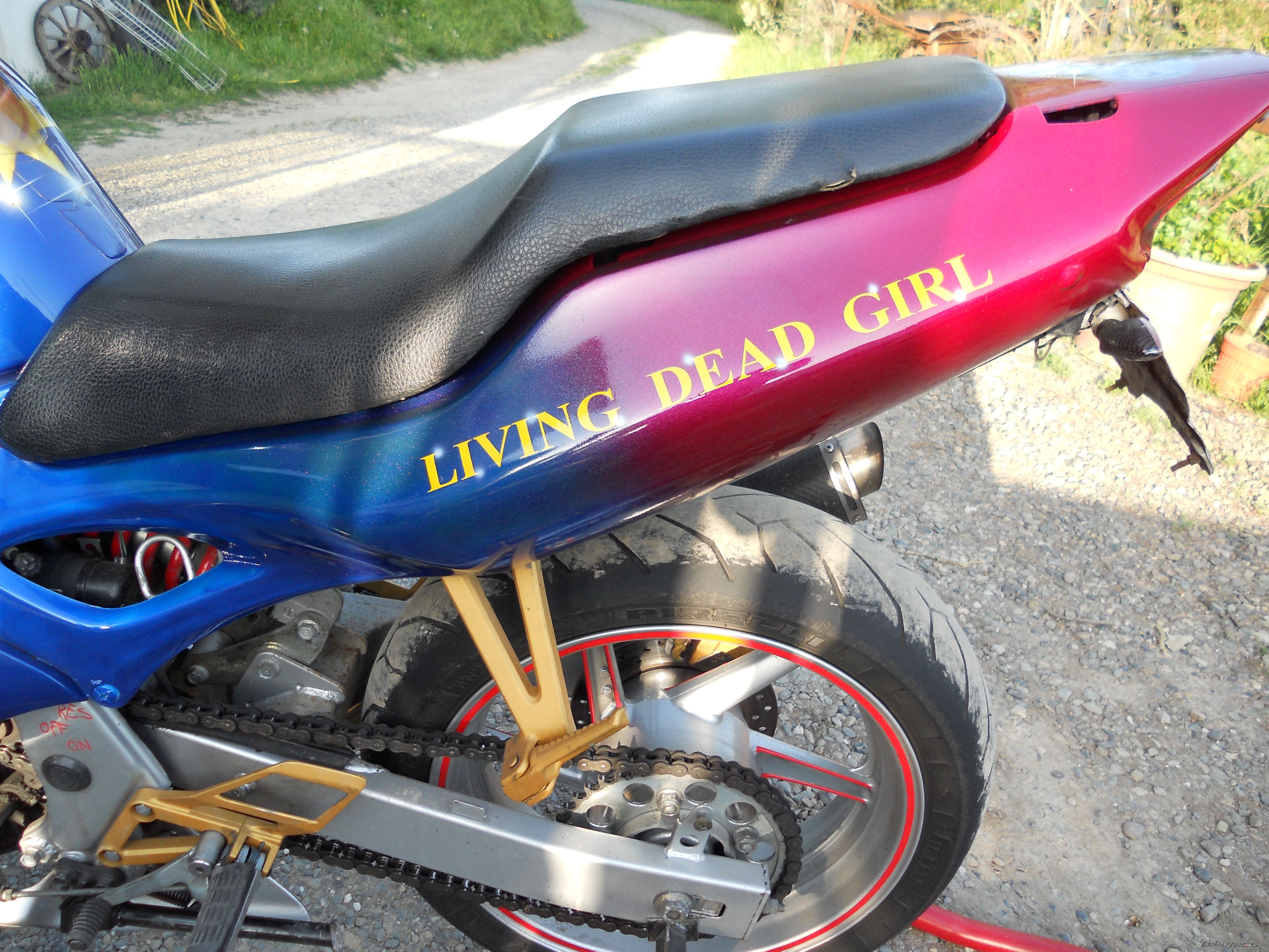 Photo 2594447