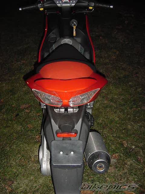 Photo 259445