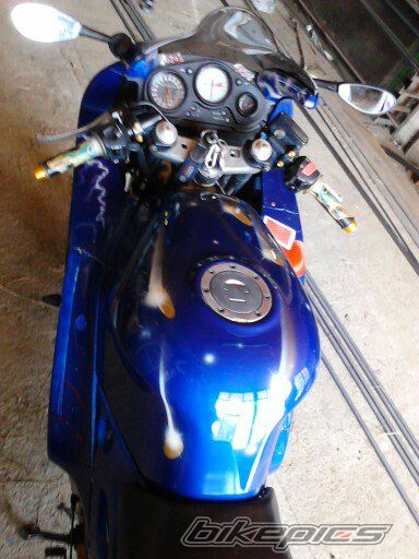 Photo 2594455