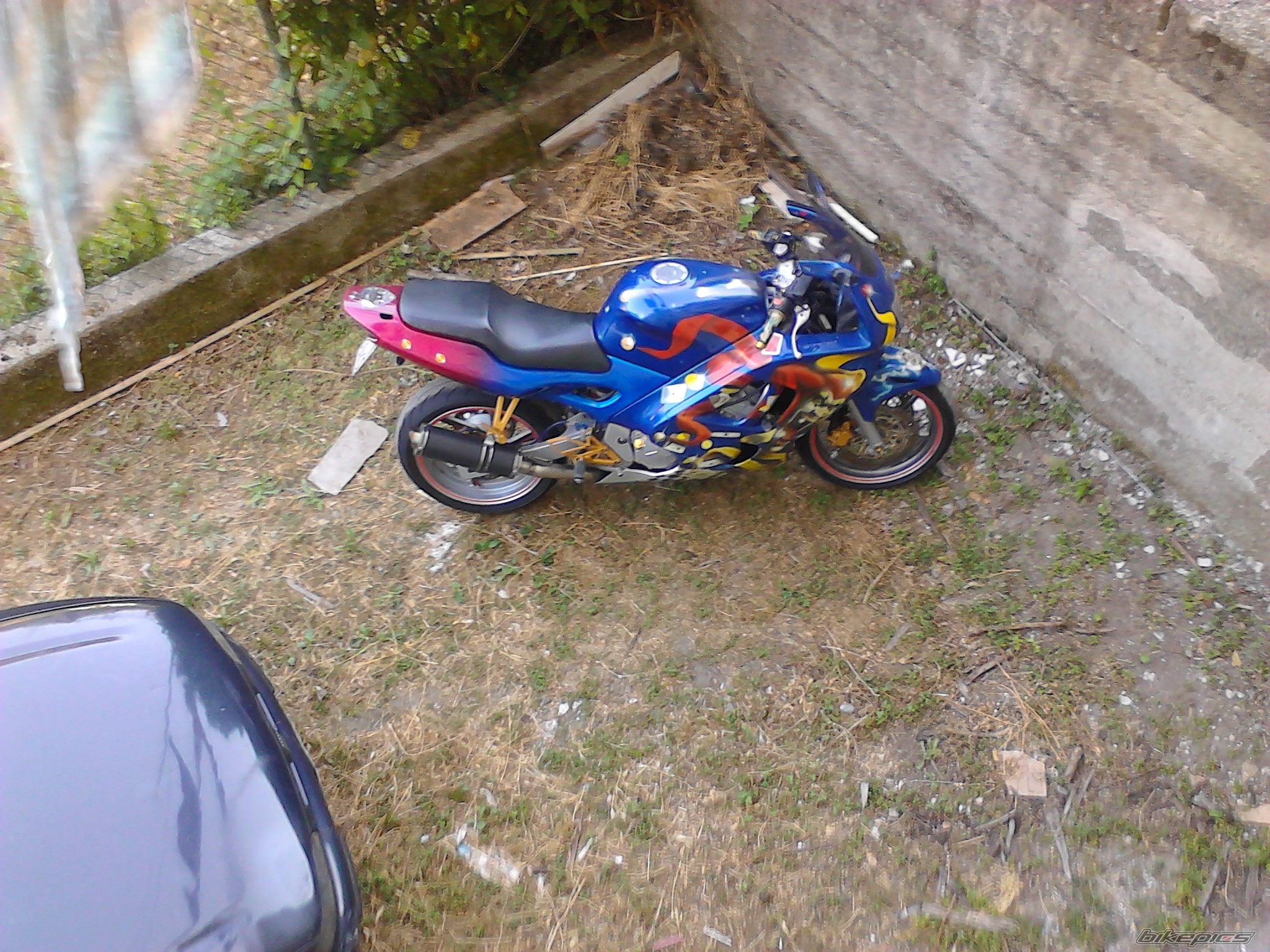 Photo 2594456