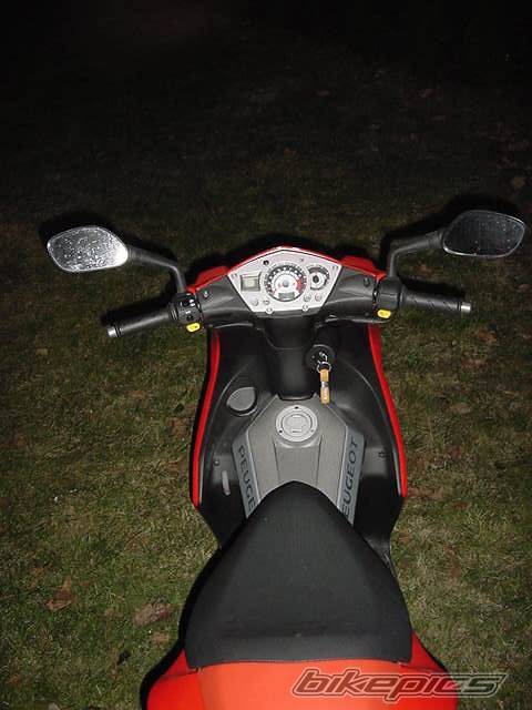 Photo 259446