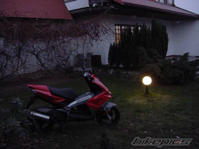Photo 259449