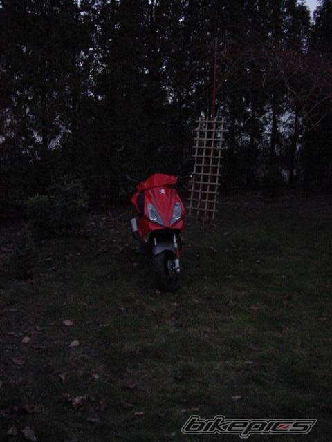 Photo 259451