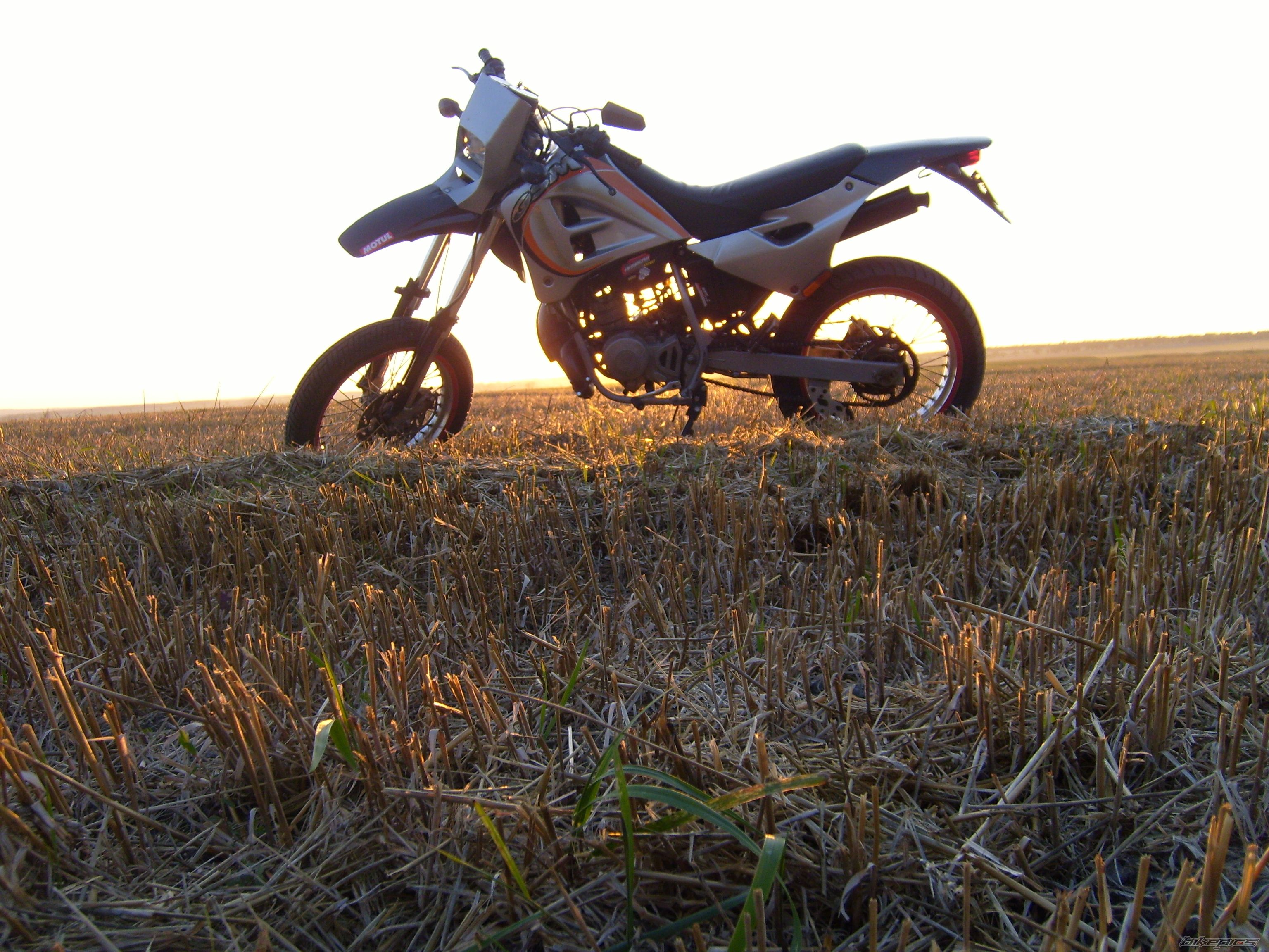Photo 2594555
