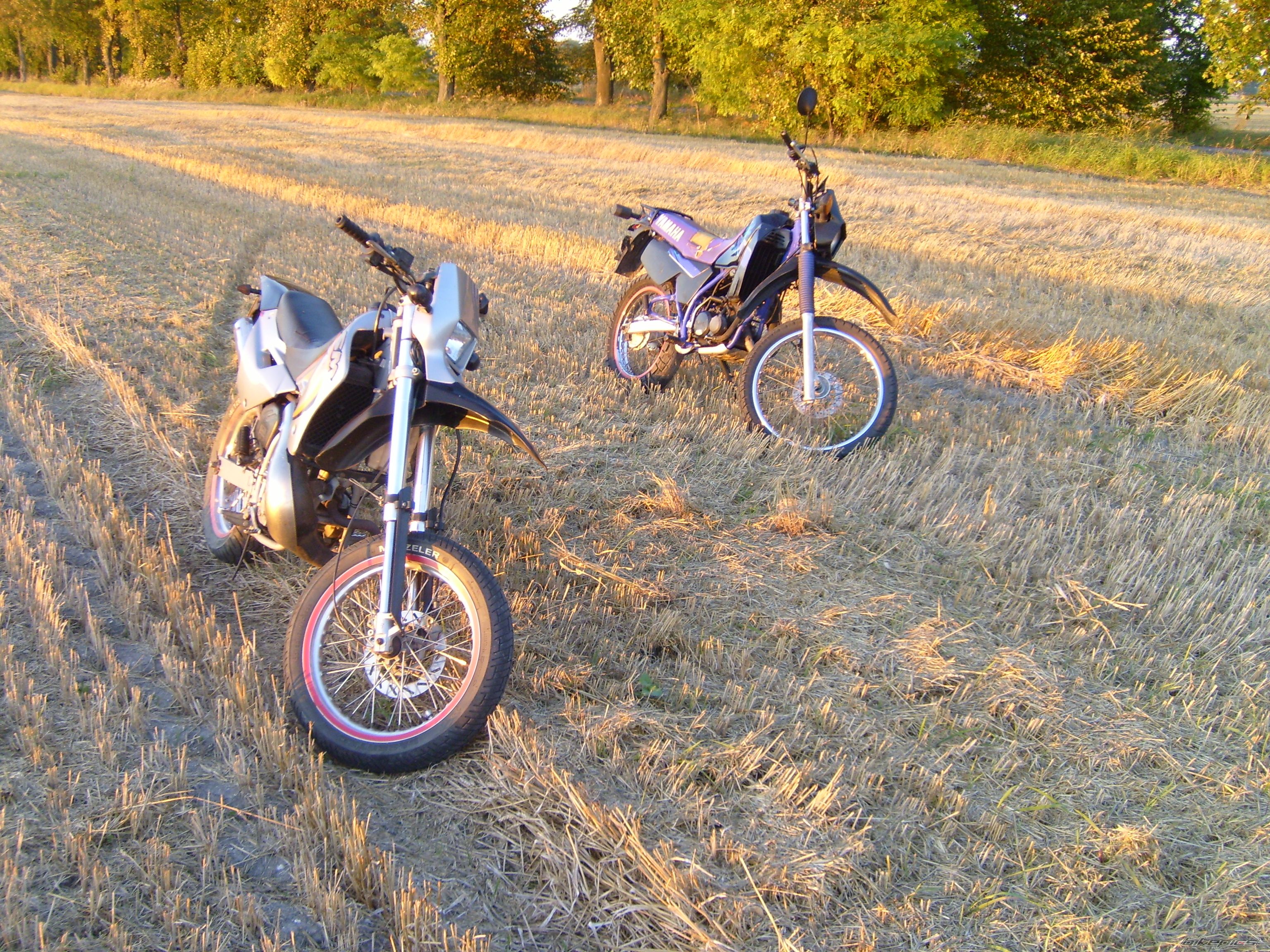 Photo 2594557