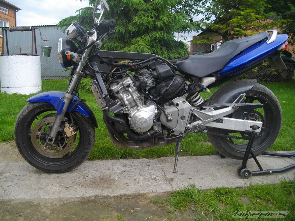 Photo 2594562
