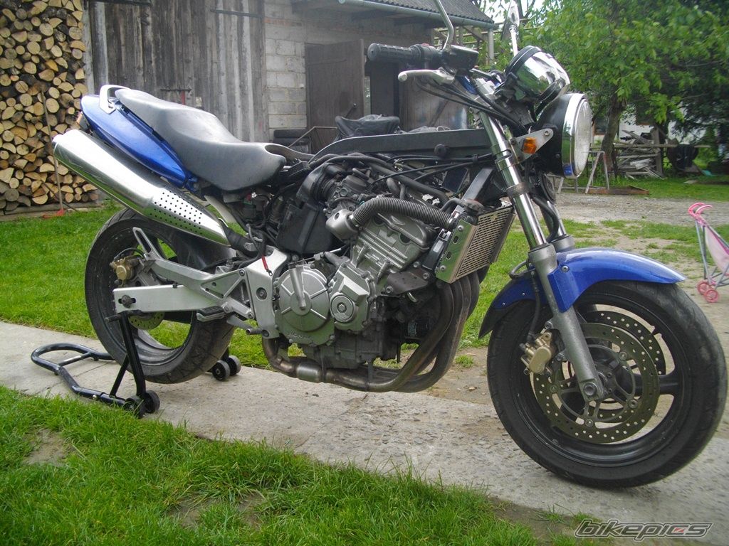 Photo 2594566