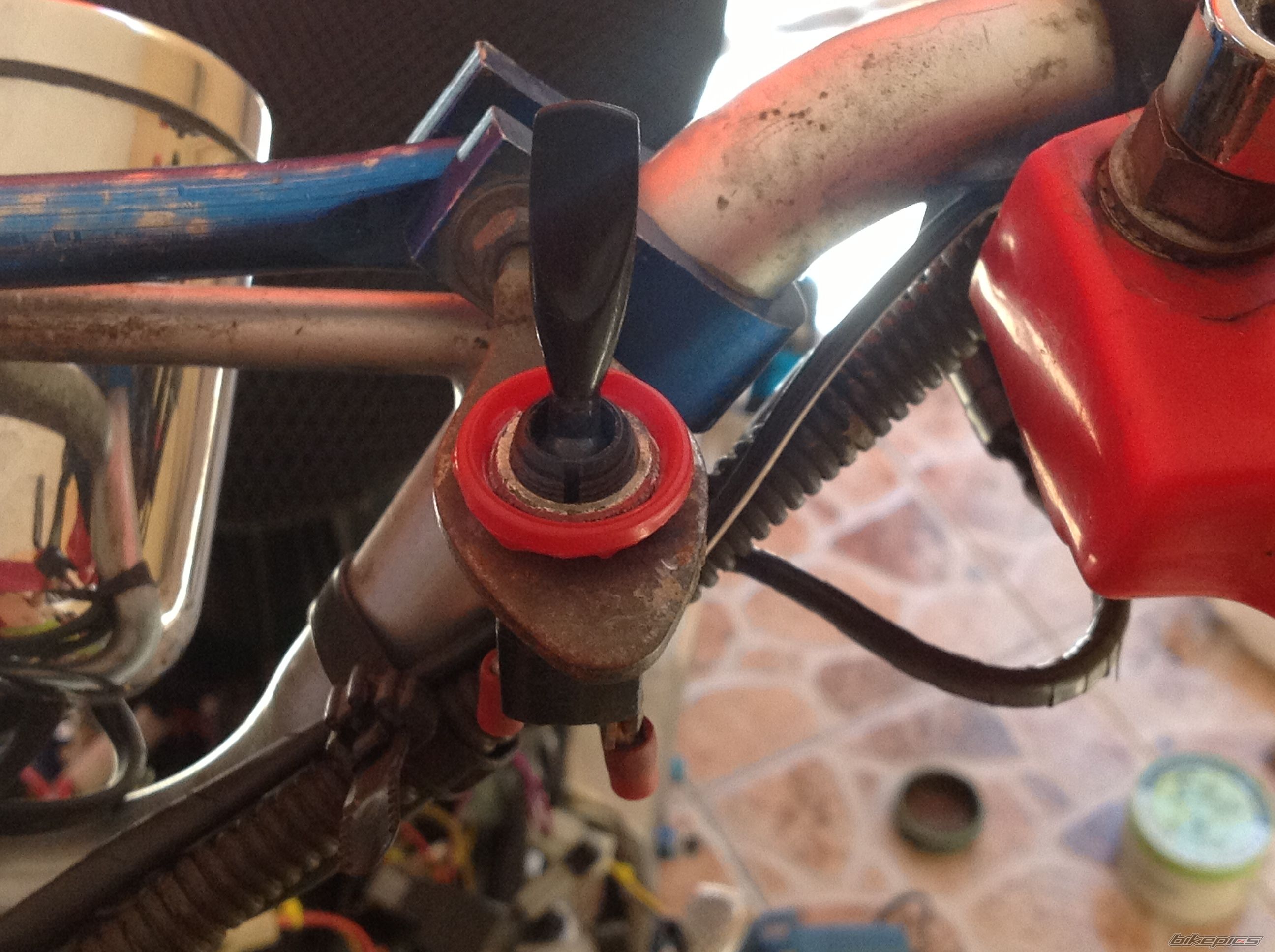 Photo 2594624