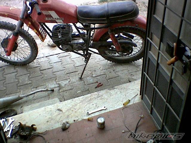 Photo 259463