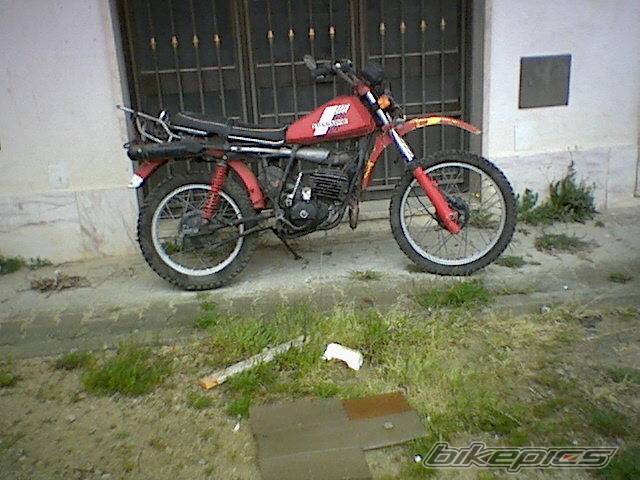 Photo 259465