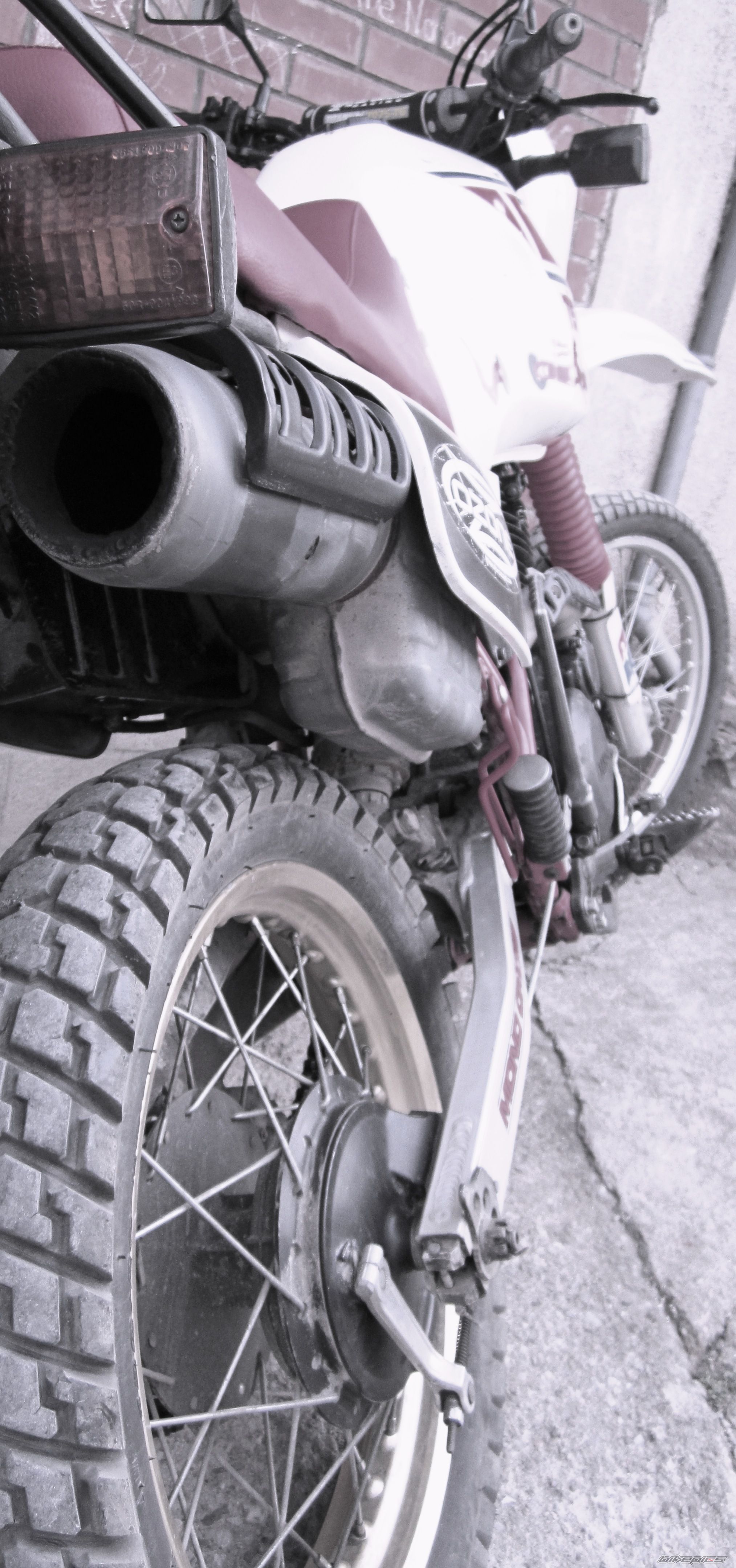 Photo 2594654