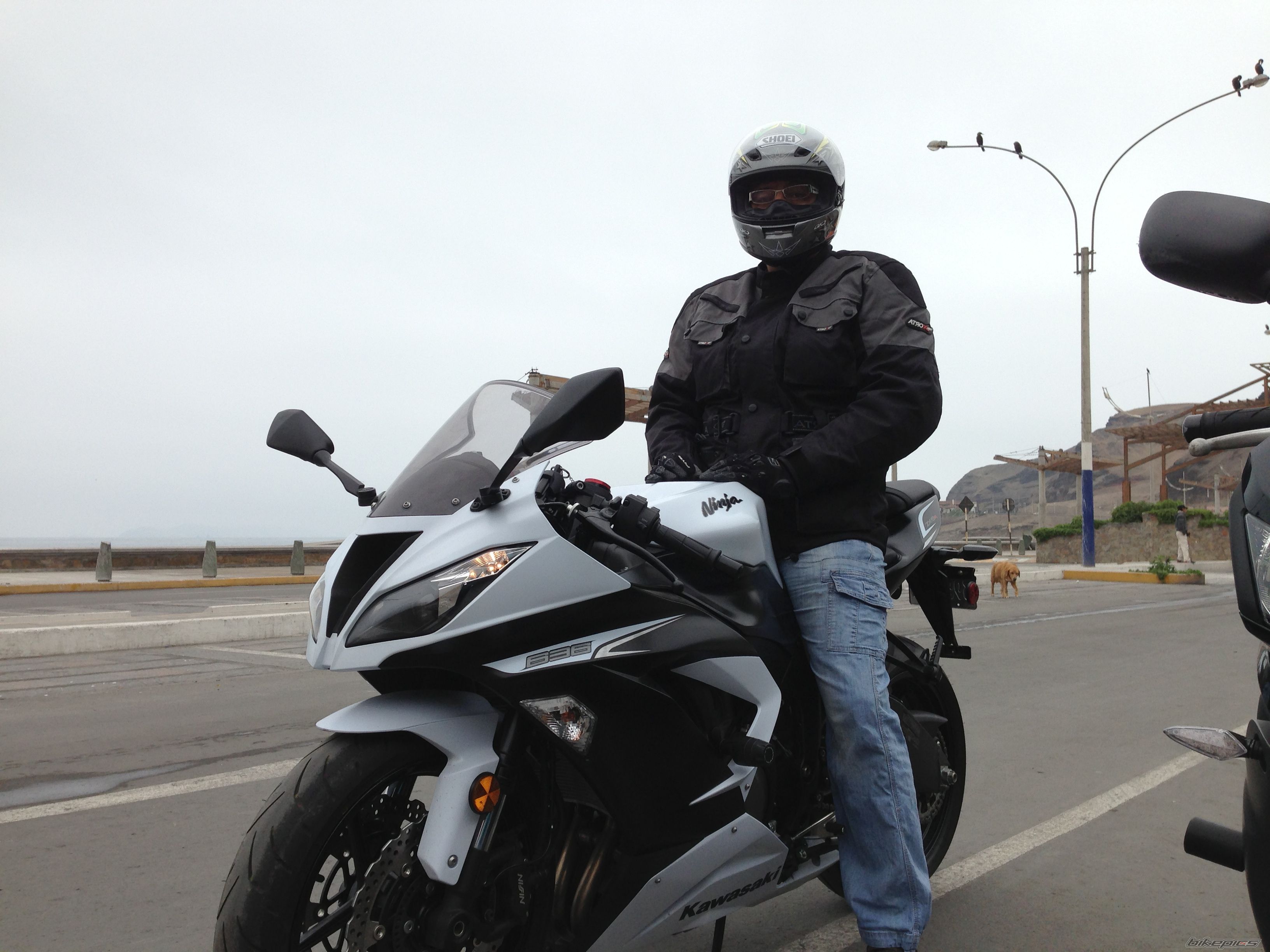 Photo 2594775