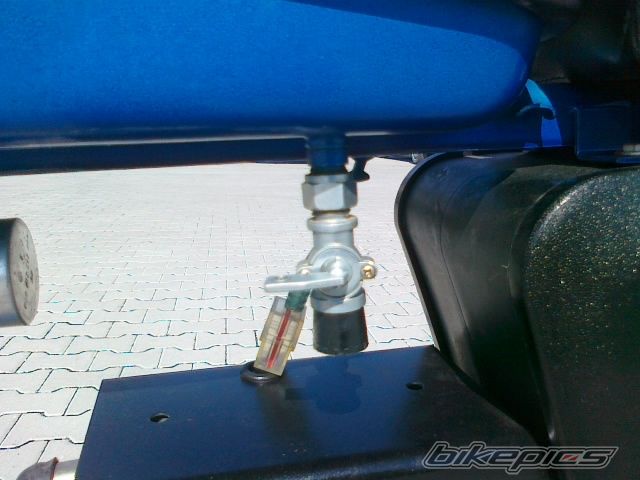 Photo 2594782