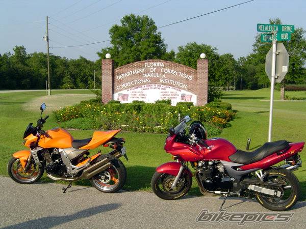 Photo 259485