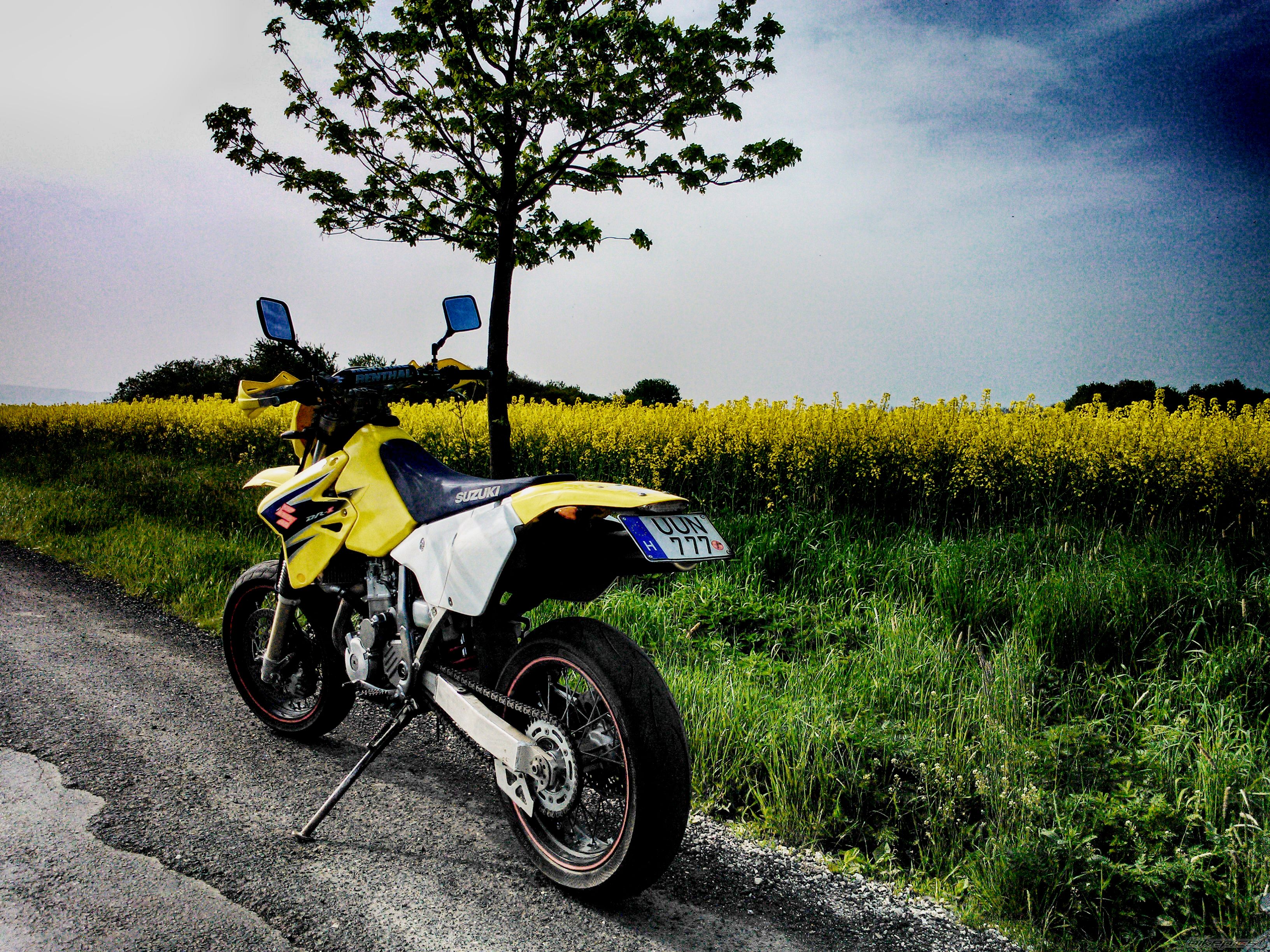 Photo 2594857