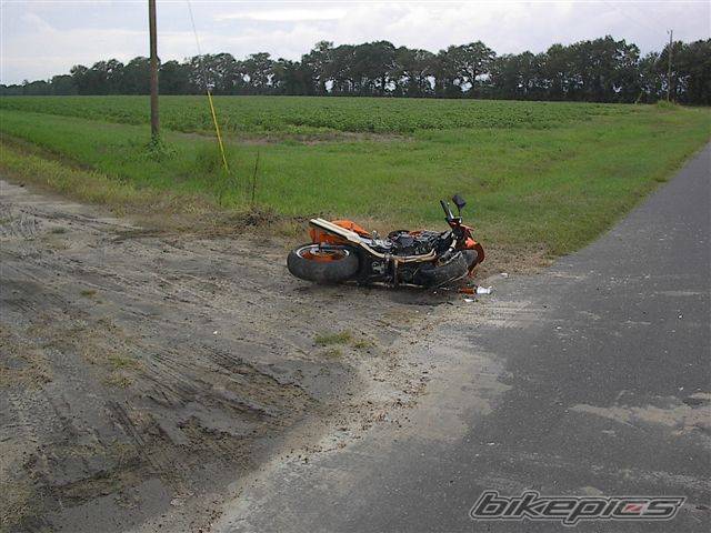 Photo 259488